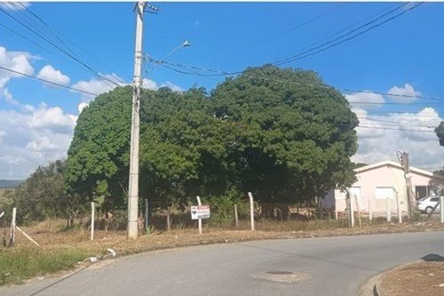 Terreno 1.000 m² no Jardim São Carlos - documentado — foto 3